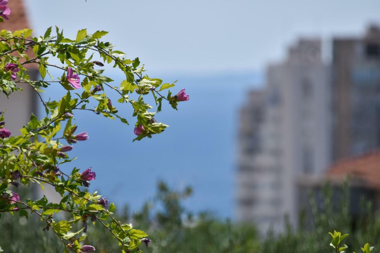 Apartment Neyra Spalato Esterno foto